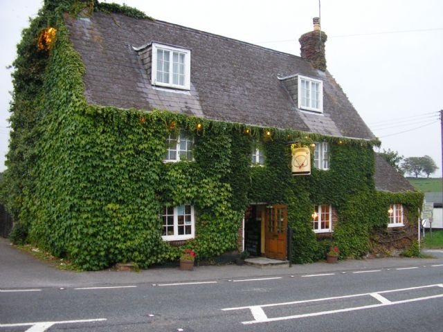 The True Lovers Knot, Tarrant Keyneston, Blandford Forum, Dorset